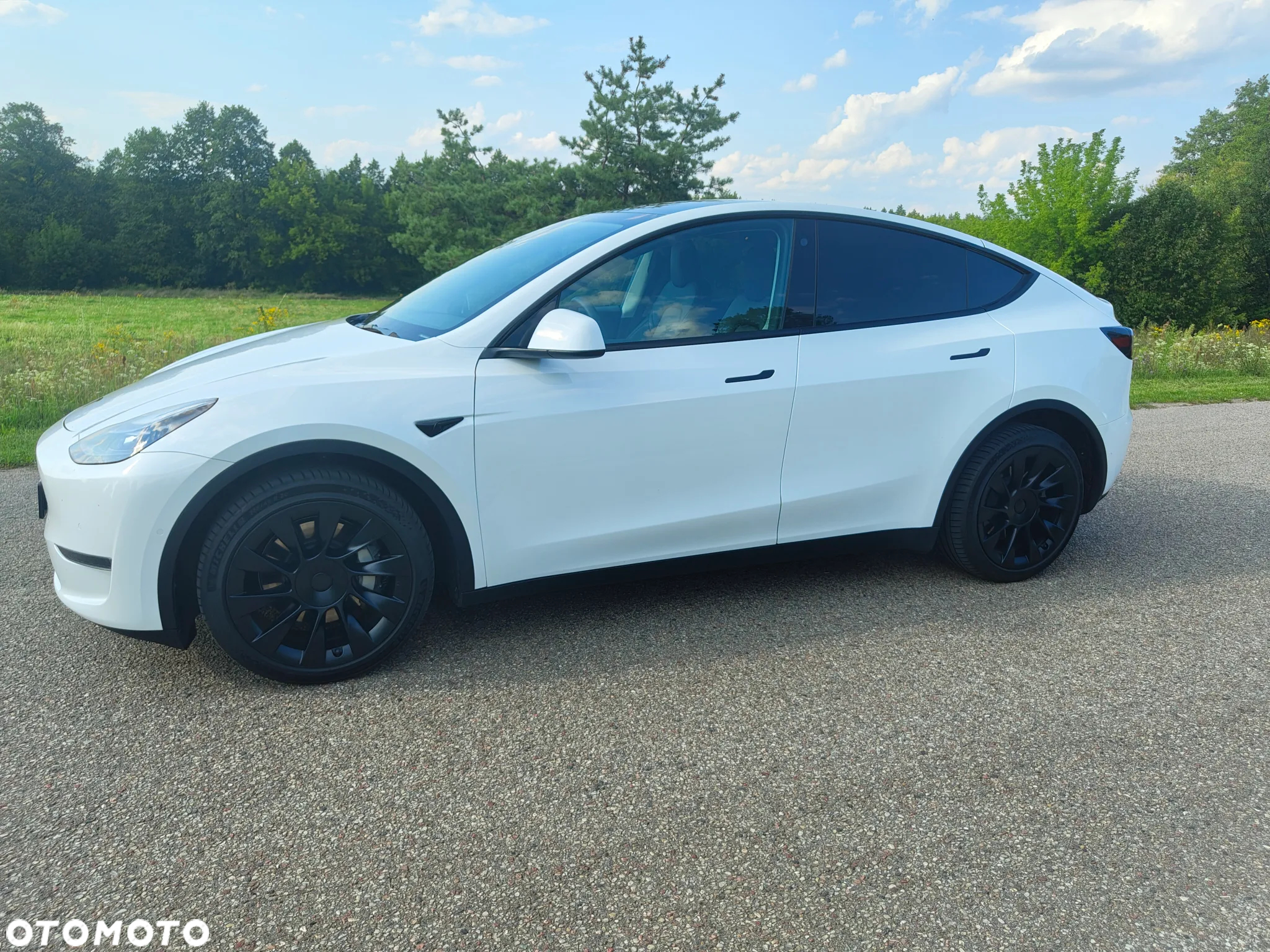 Tesla Y Model Long Range Dual Motor AWD - 13