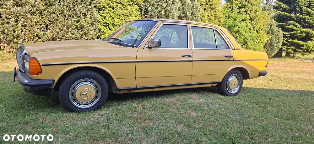 Mercedes-Benz W123 - 6