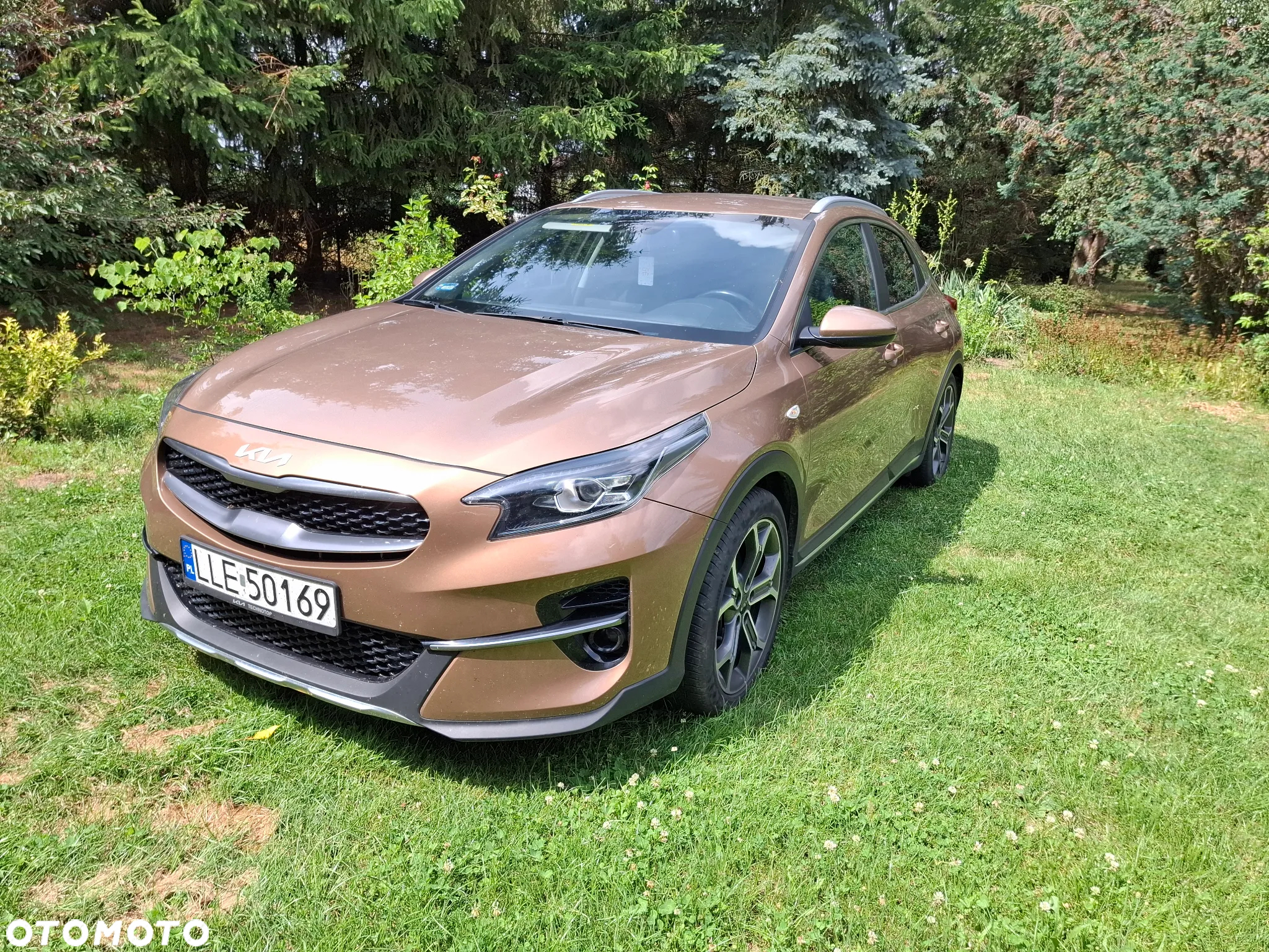 Kia XCeed 1.5 T-GDI M - 6