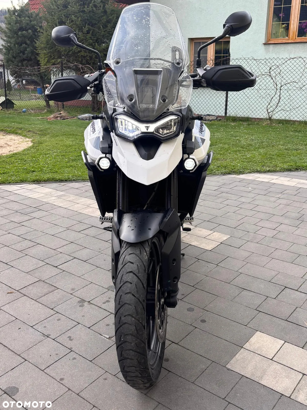 Triumph Tiger