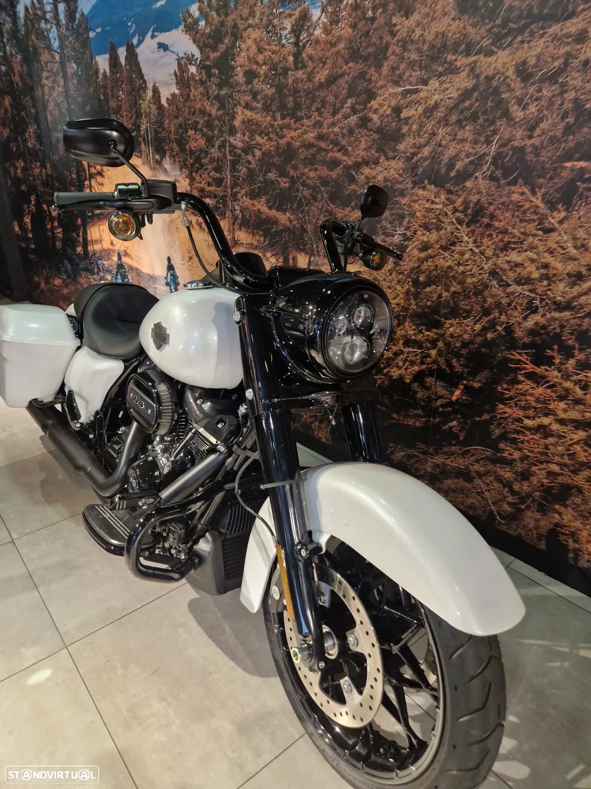 Harley-Davidson Road King Special - 6