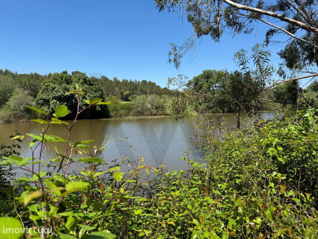 Refúgio Ideal no Alentejo: Investimento único com Potencial Agrícola e - Grande imagem: 3/39