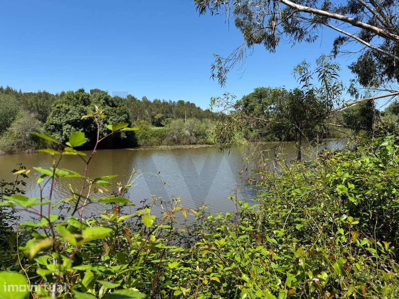Refúgio Ideal no Alentejo: Investimento único com Potencial Agrícola e - Grande imagem: 3/39