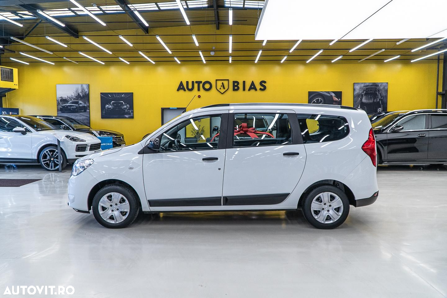 Dacia Lodgy - 17