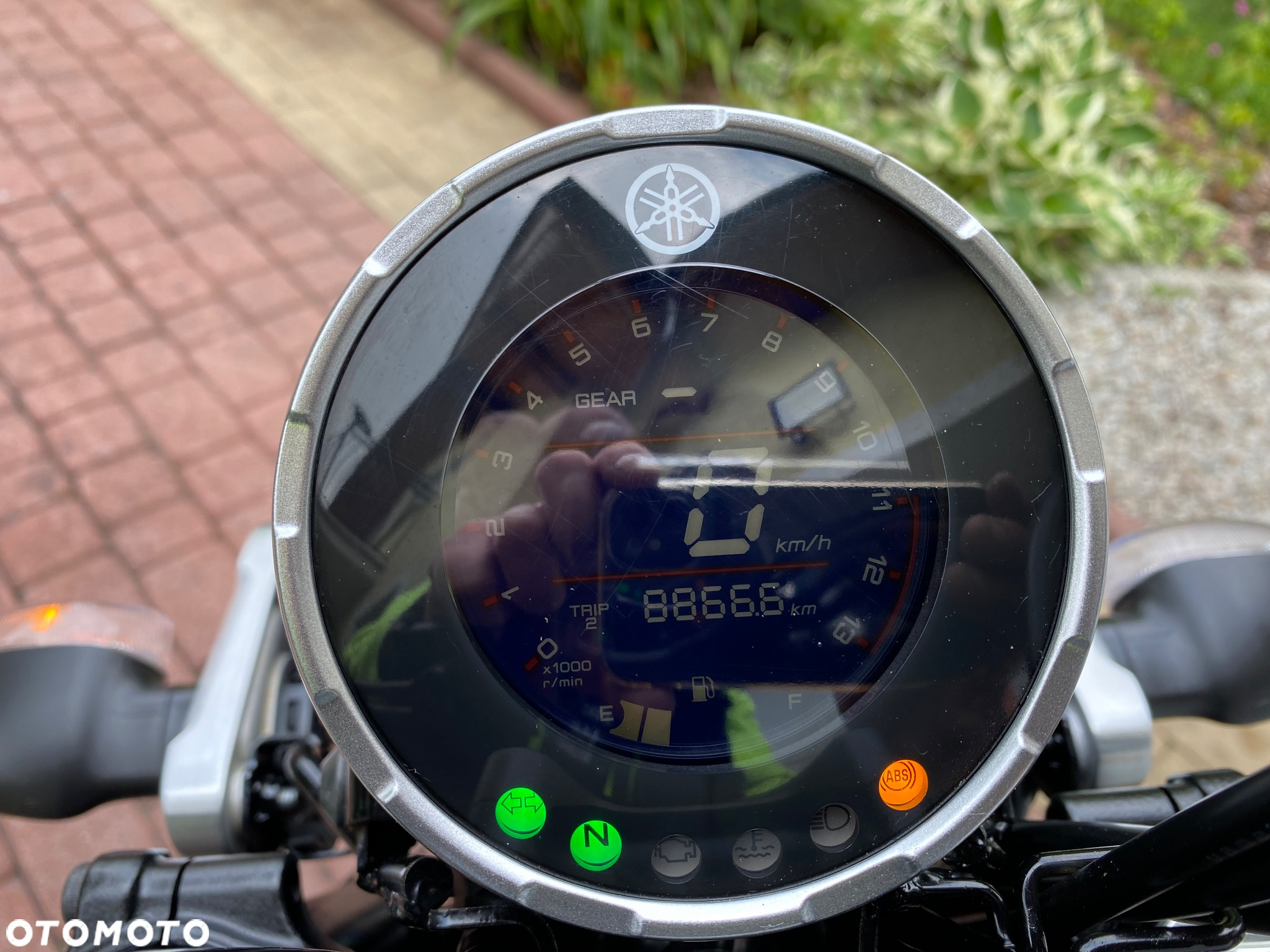 Yamaha XSR - 20