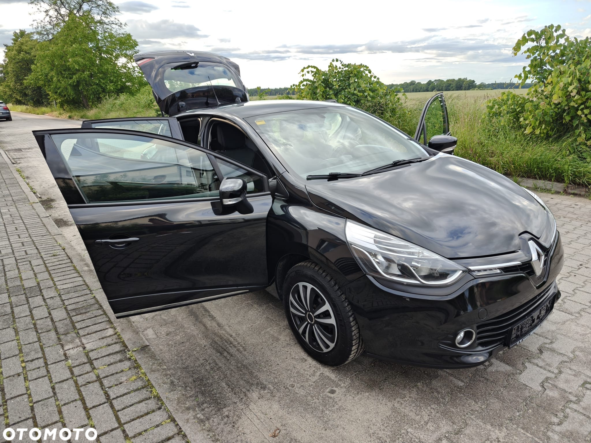 Renault Clio - 33