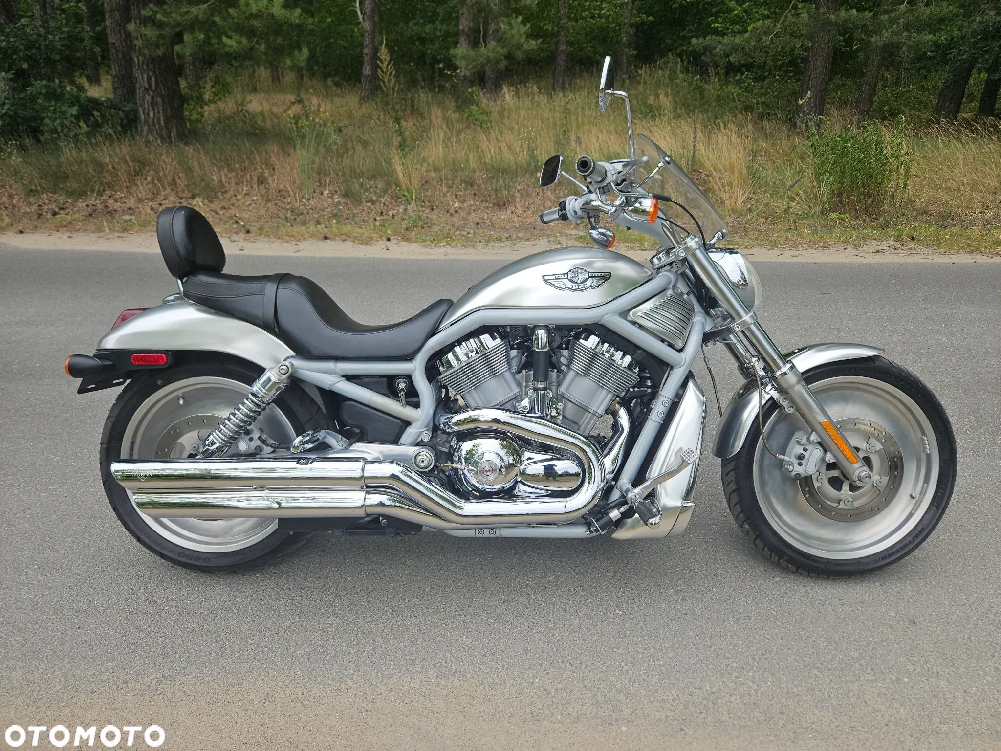 Harley-Davidson V-Rod Street Rod - 1