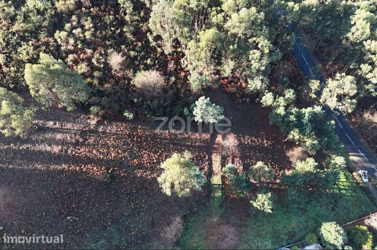 Terreno rústico localizado na Póvoa de Lanhoso - Grande imagem: 2/13