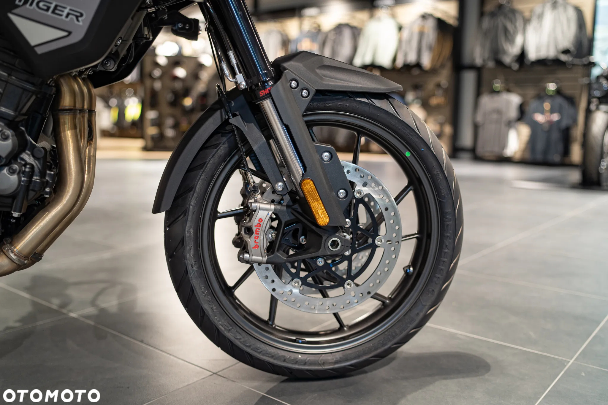 Triumph Tiger - 29