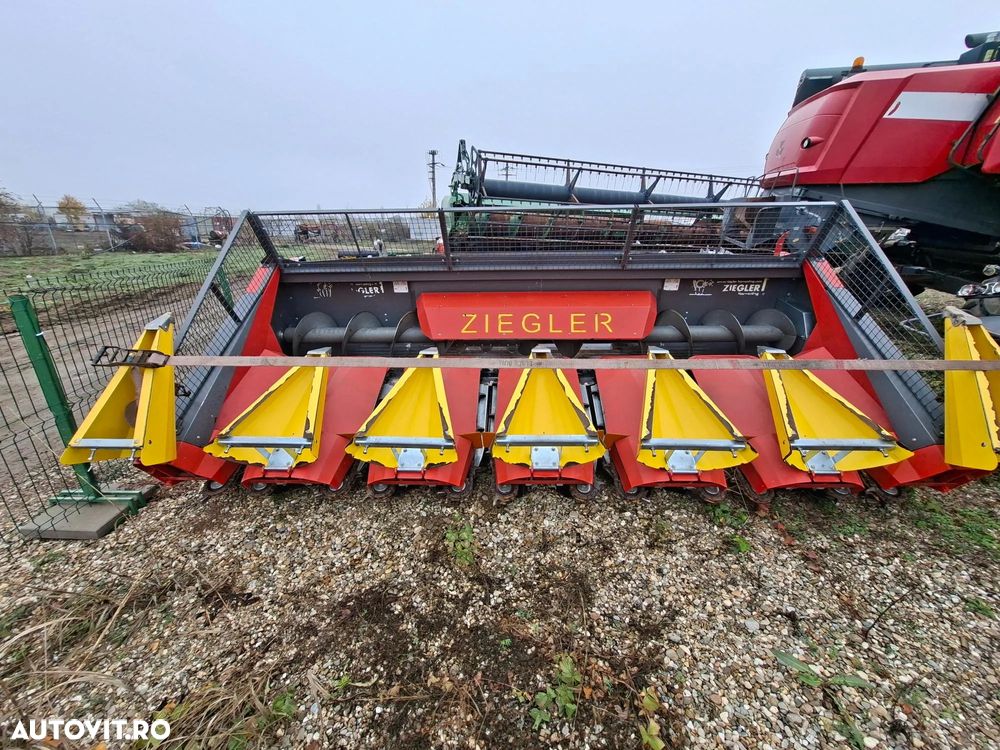 Ziegler CORN CHAMPION 6S-70 HEDER RECOLTAT PORUMB - 1