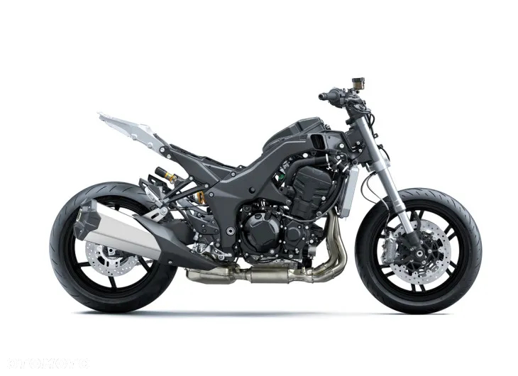 Kawasaki Ninja 1000 SX - 13