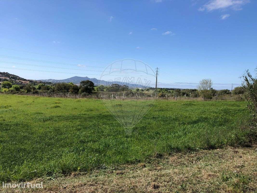 Terreno  para venda - Grande imagem: 5/6