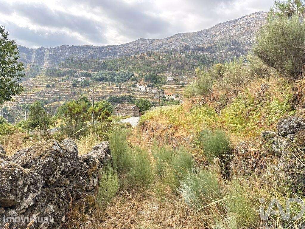 Terreno em Alvoco da Serra - Grande imagem: 3/3