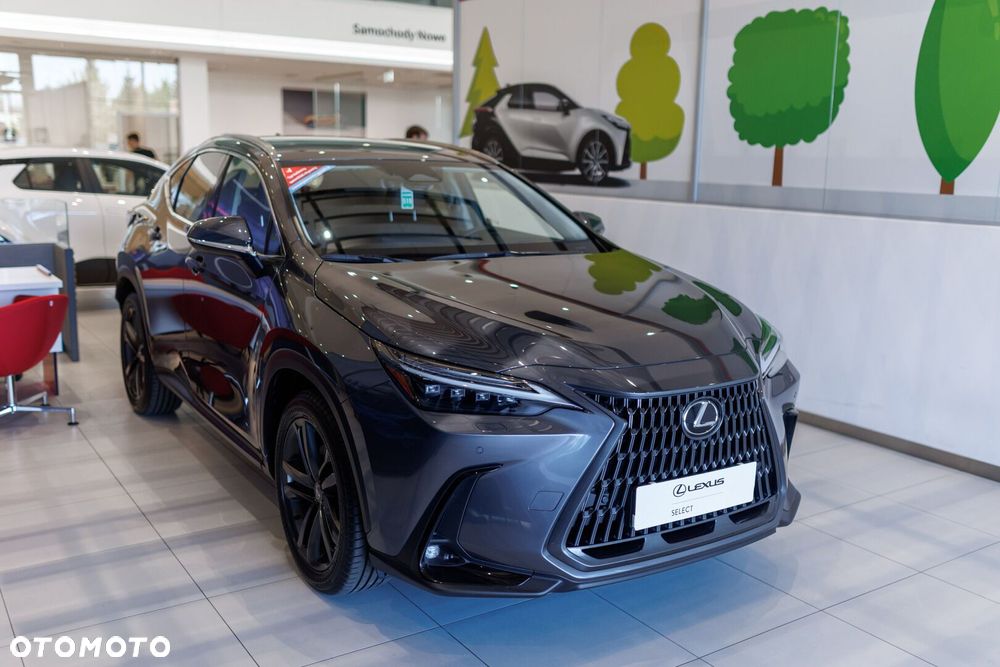 Lexus NX - 3