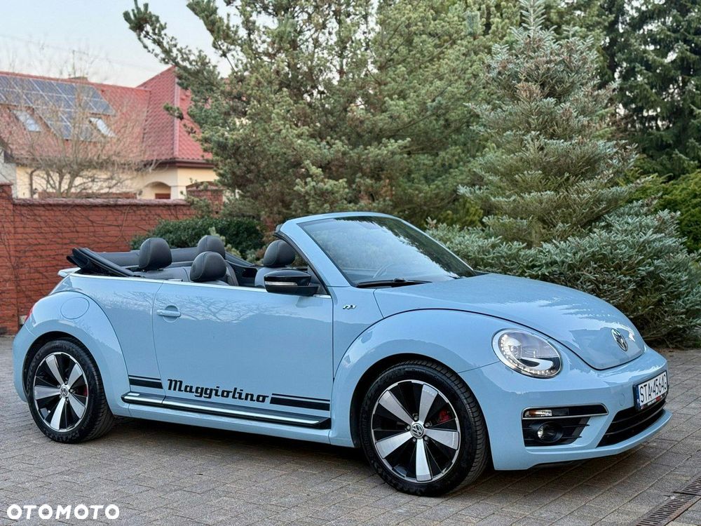 Volkswagen Beetle - 15
