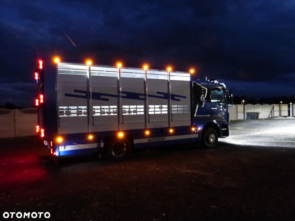 MAN TGM 15.250 DO ŻYWCA / ZWIERZĄT / BYDŁA / WAGA EL/. EURO 6 / DŁ. 5.20M /XENON - 34
