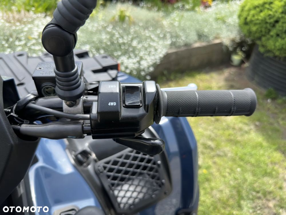 Kawasaki Brute Force - 10