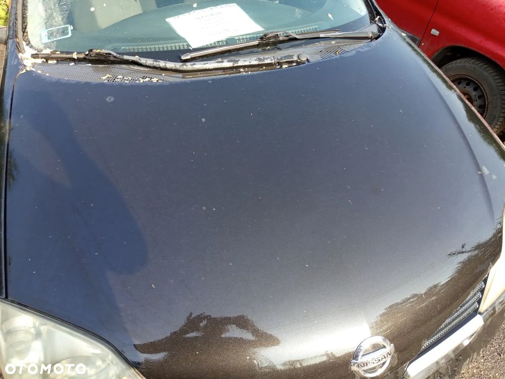 NISSAN PRIMERA P12 MASKA BŁOTNIKI REFLEKTORY ZDERZAK PRZEDNI PAS PRZEDNI KOD KOLORU Z11G - 7