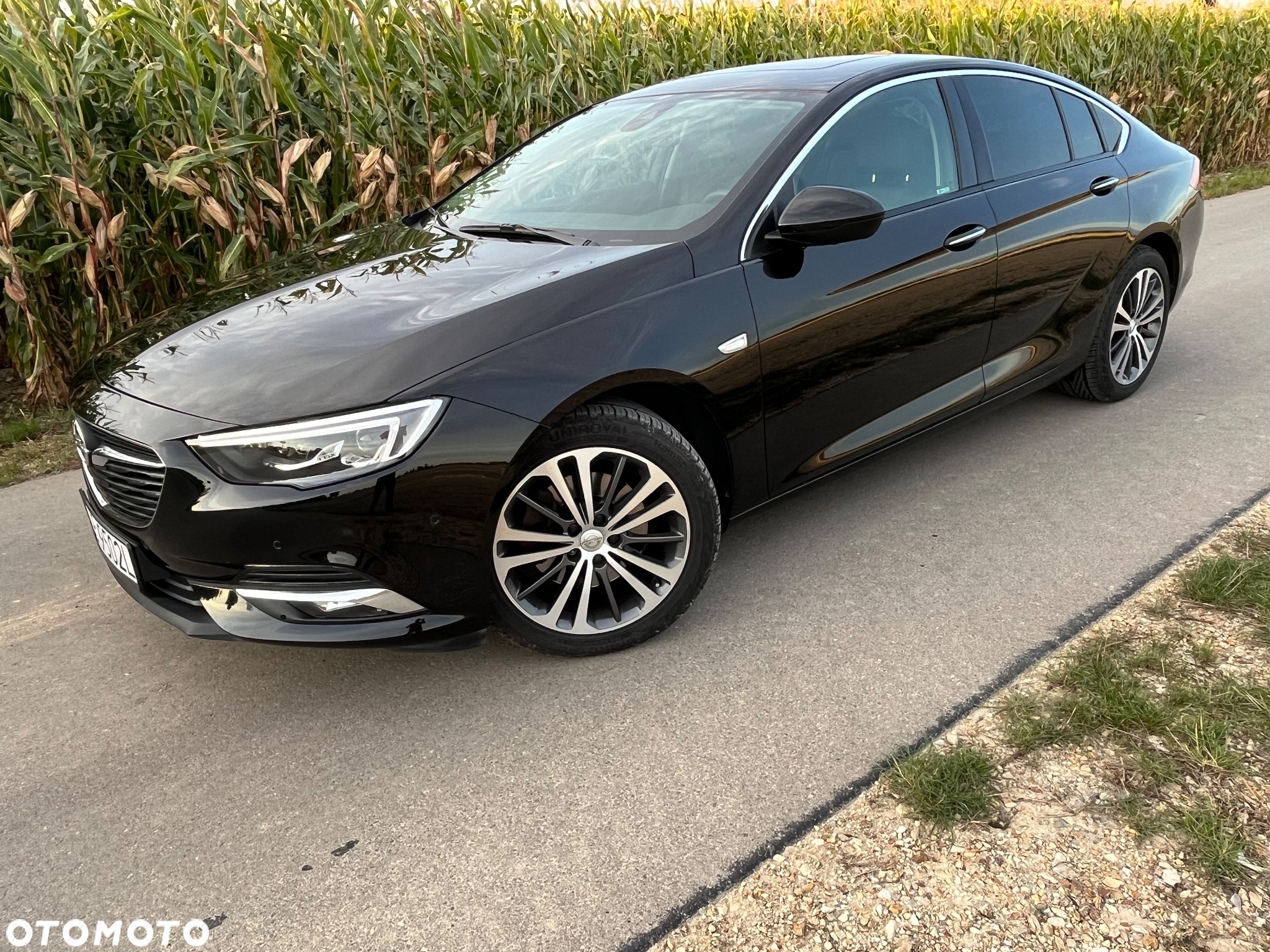 Opel Insignia 2.0 CDTI 4x4 Exclusive S&S - 5