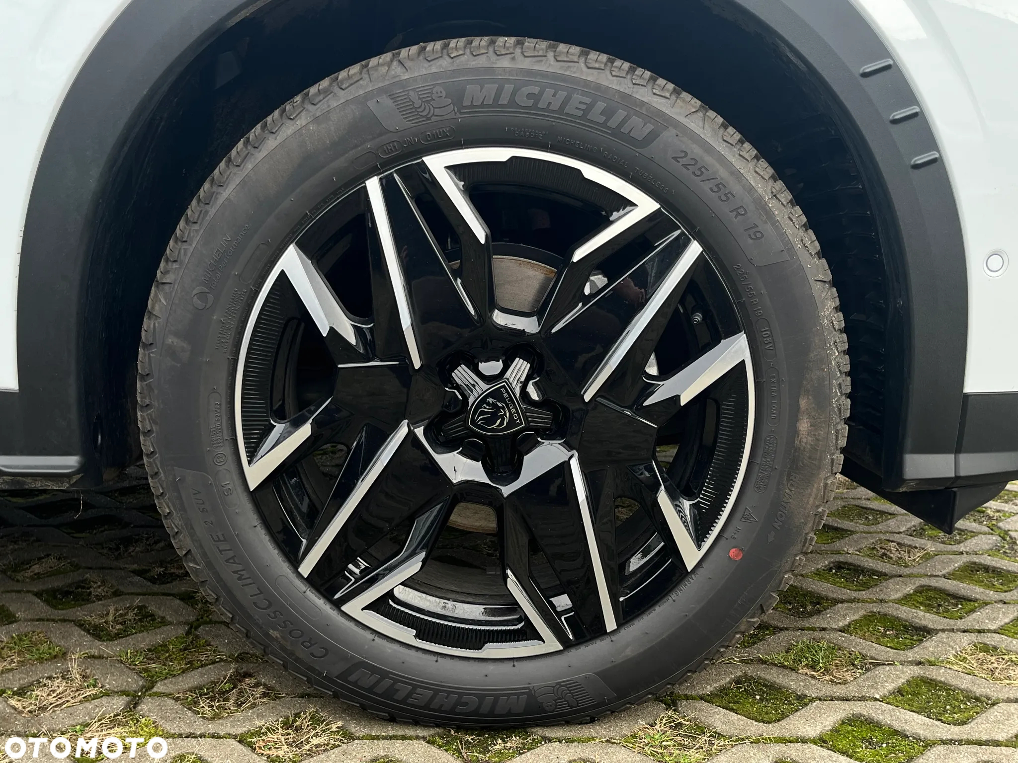 Peugeot 3008 1.2 PureTech mHEV Allure e-DCS6 - 11