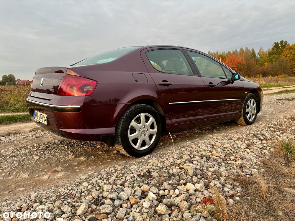 Peugeot 407 - 6