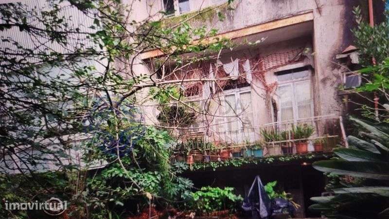 moradia t3 2 frentes 3 pisos jardim logradouro avenida de gaia - Grande imagem: 5/5