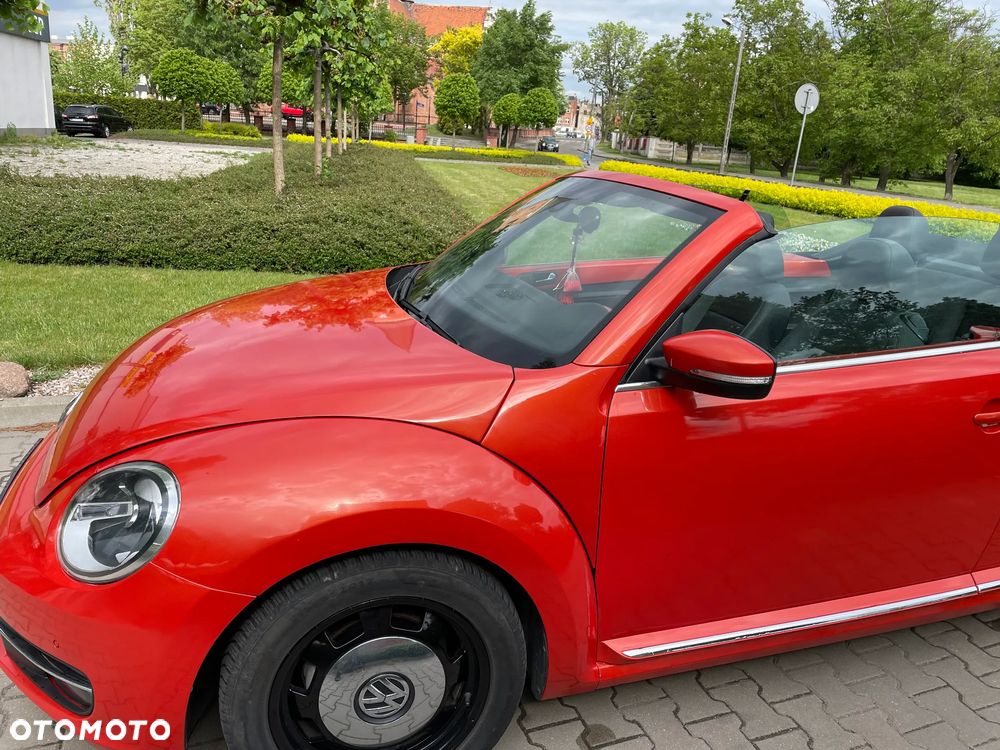 Volkswagen Beetle - 11