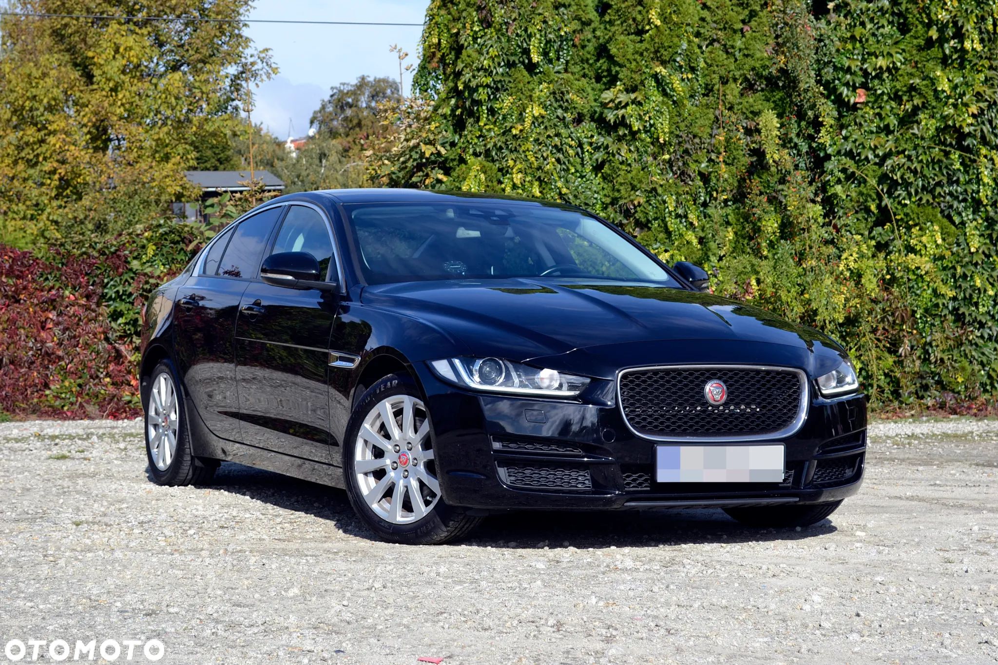 Jaguar XE - 1
