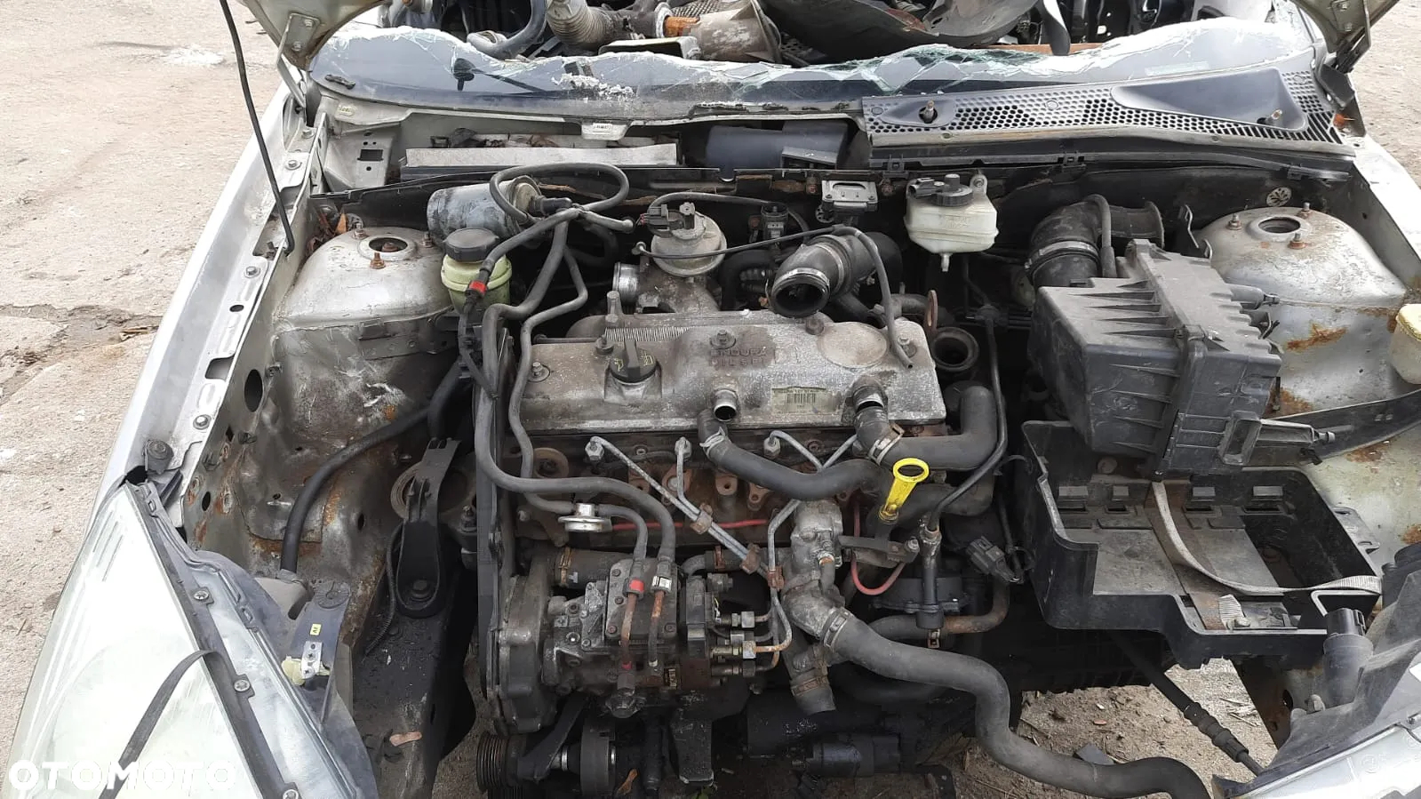 Tylko Części FORD FOCUS MK1 1.8 TDDI 90KM 66kW HB 5D 98r–01r Lakier O8 - 8