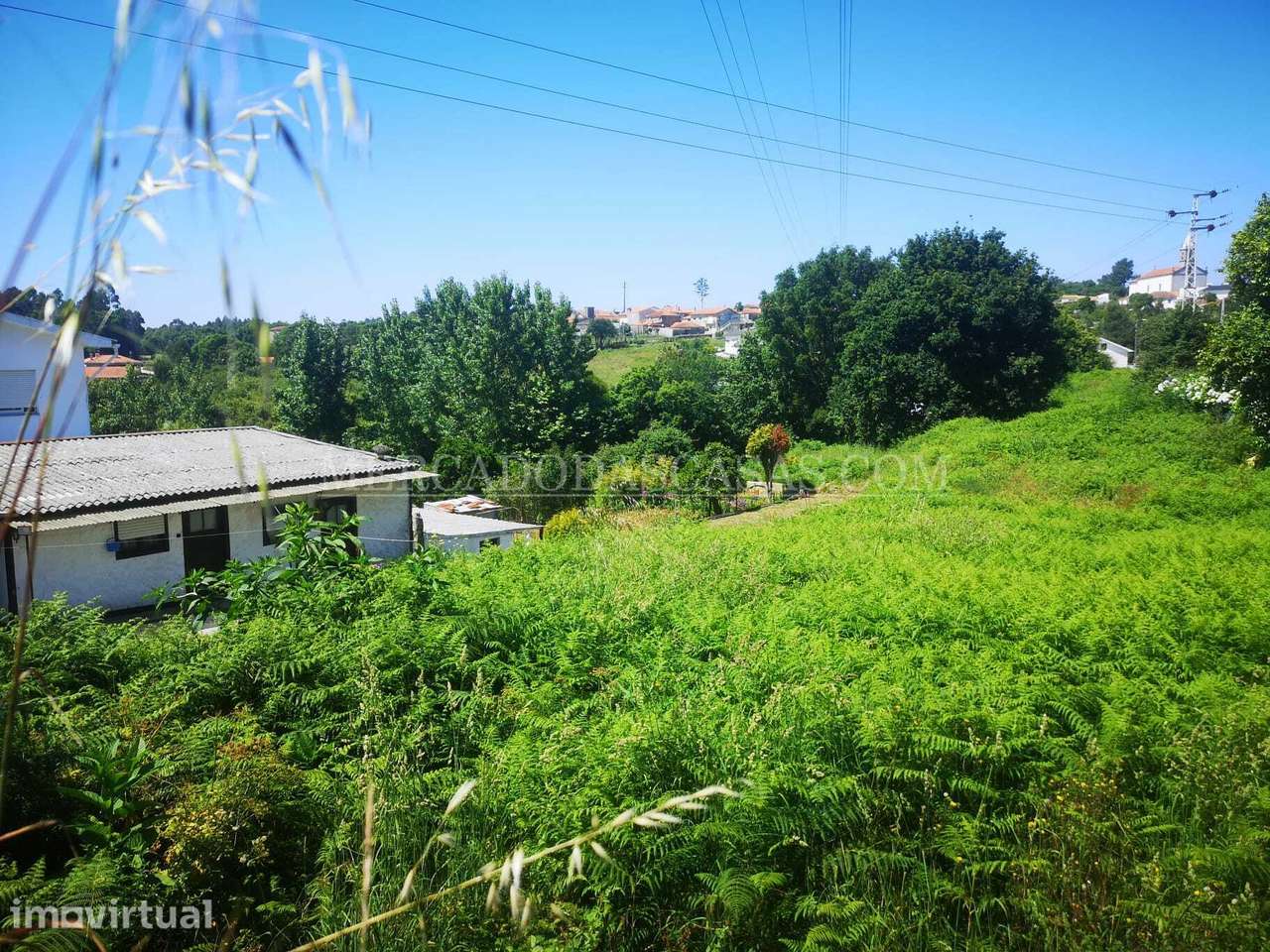 Terreno com 2800m2 São Paio de Oleiros - Grande imagem: 4/4