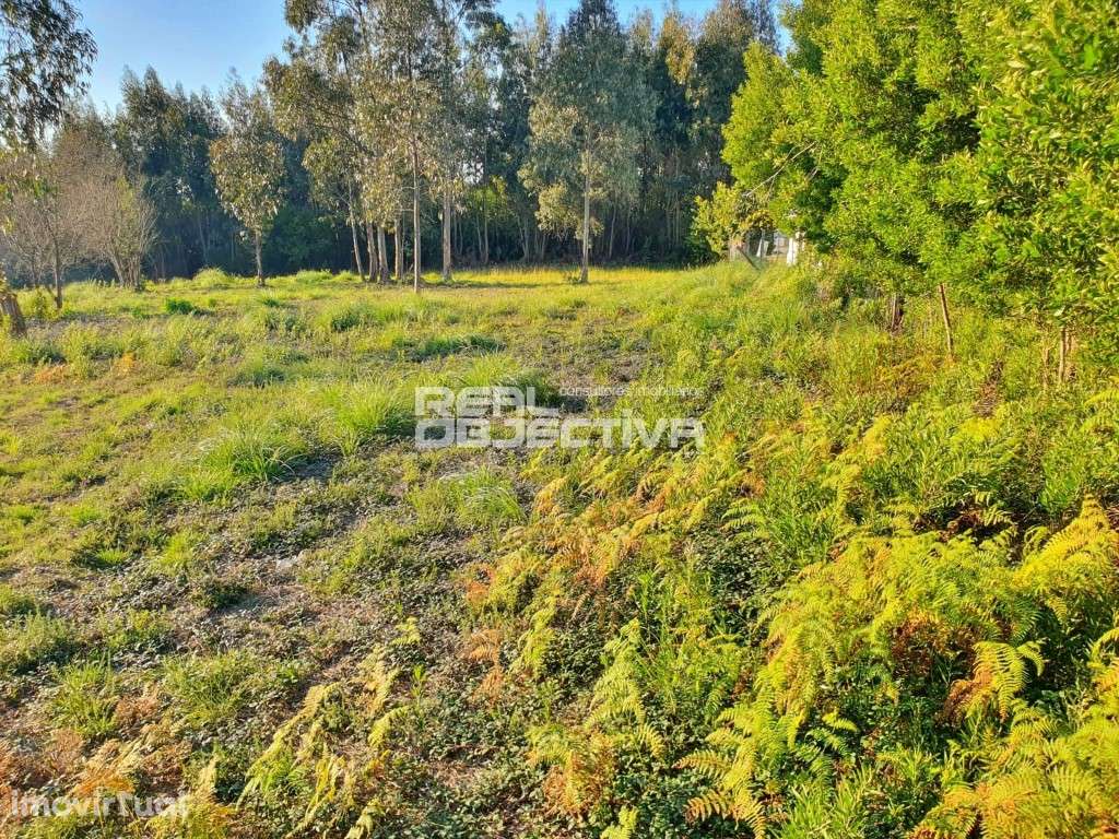 Terreno industrial em Rio Meão - Grande imagem: 5/6