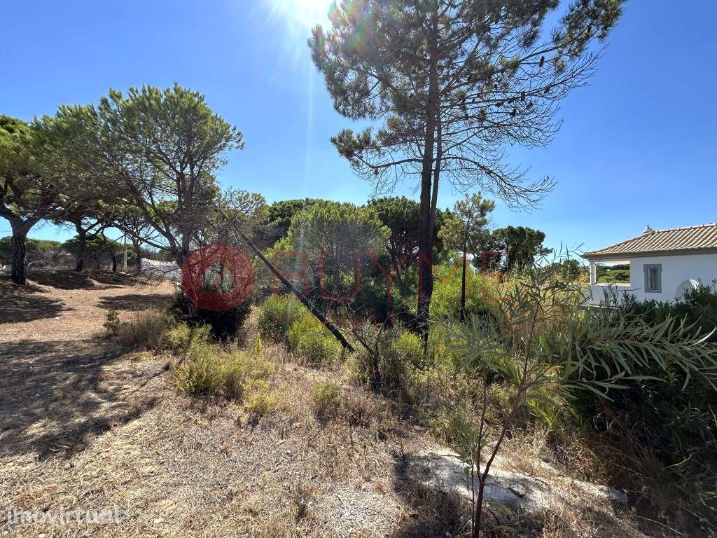 Lote para Moradia de Sonho - Vale do Lobo, Almancil - Grande imagem: 5/6