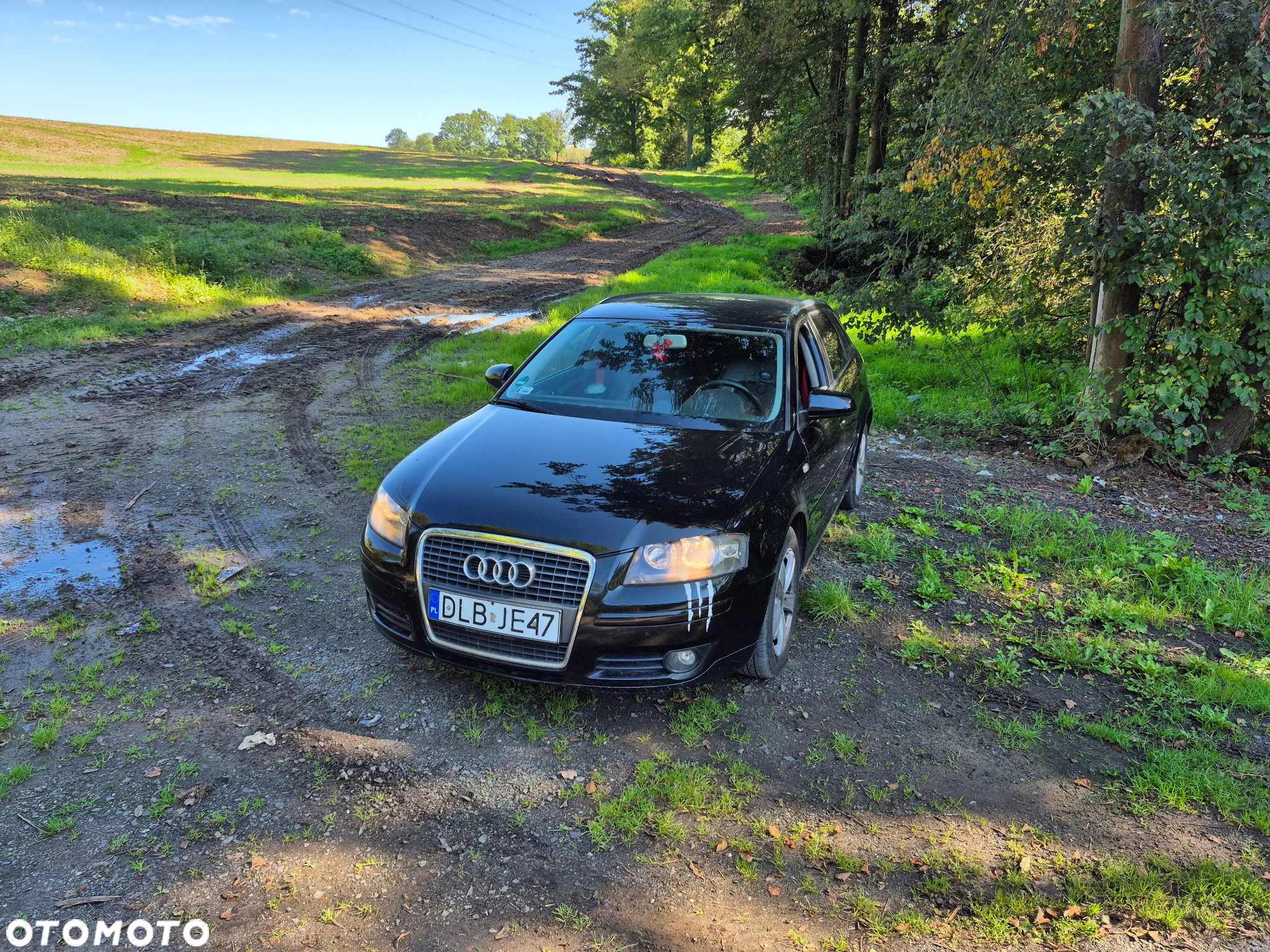 Audi A3 - 13