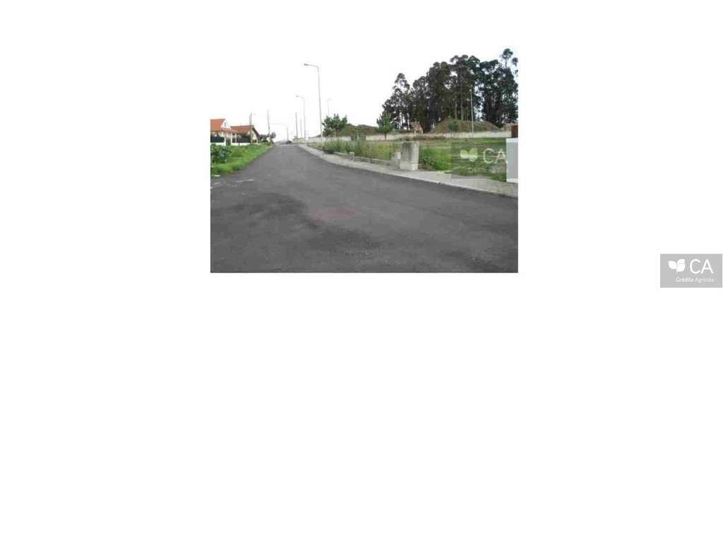 ID14518 - Grande imagem: 4/4