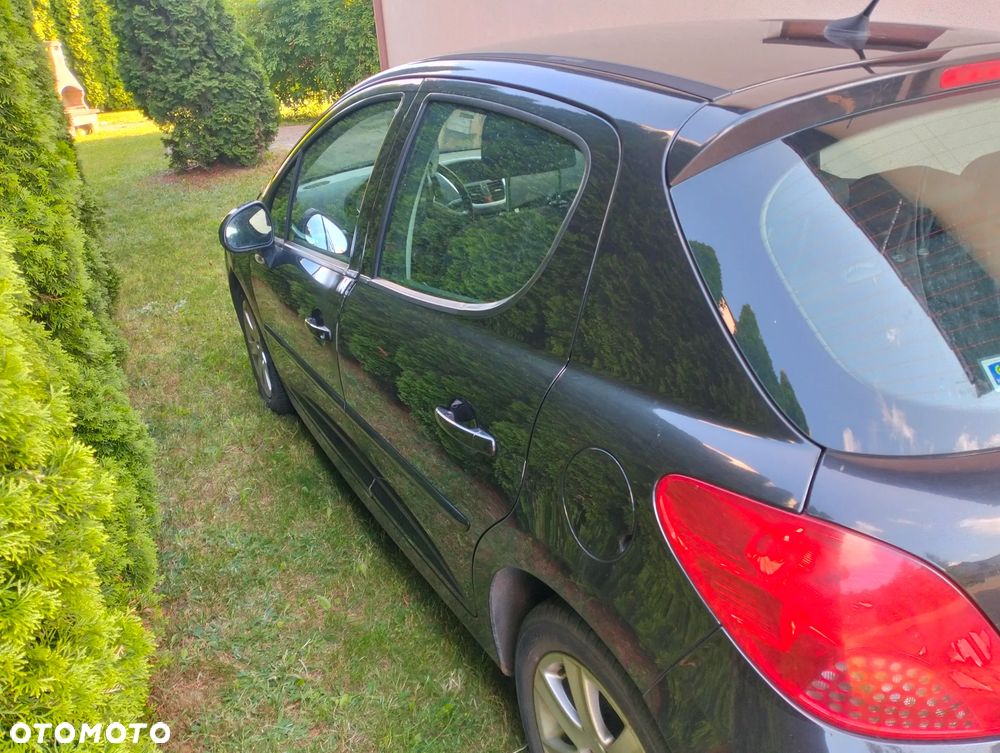 Peugeot 207 - 6