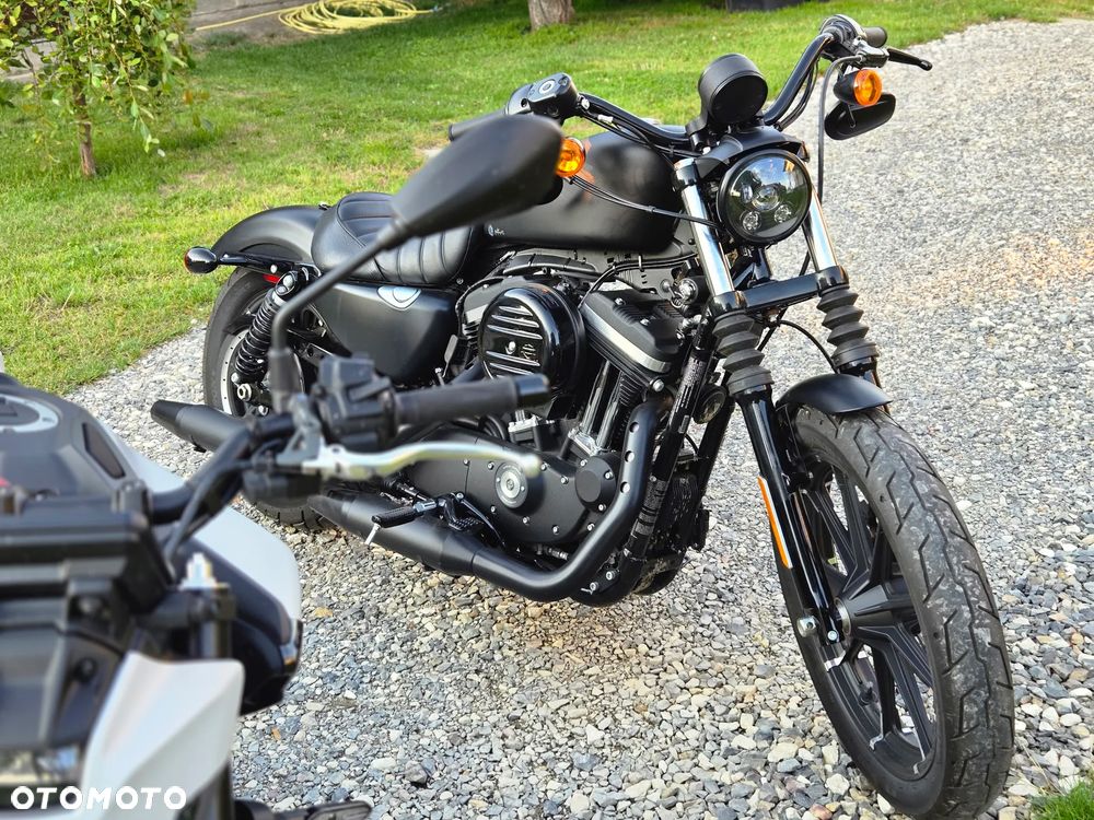 Harley-Davidson Sportster Iron 883 - 2
