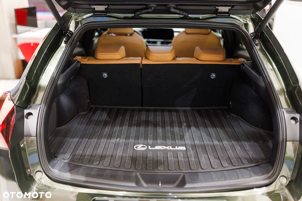 Lexus UX 300h F Sport Design - 23