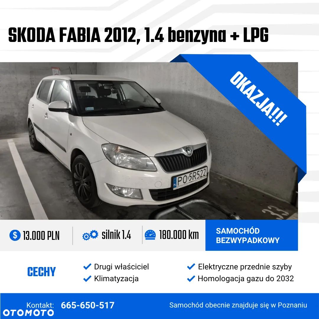 Skoda Fabia - 1