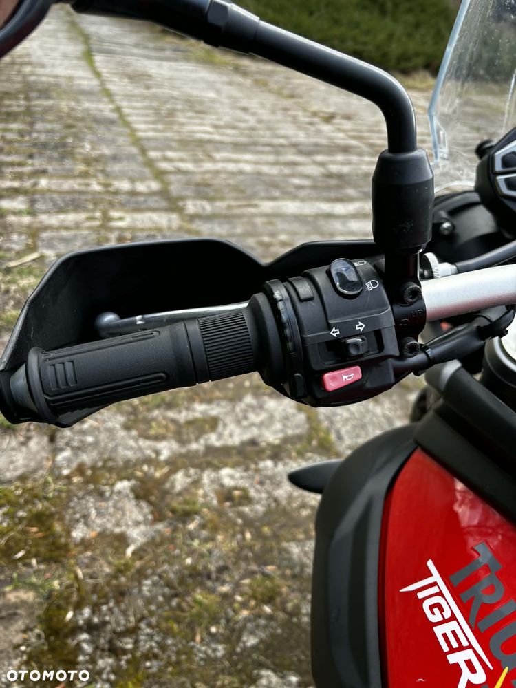 Triumph Tiger - 10