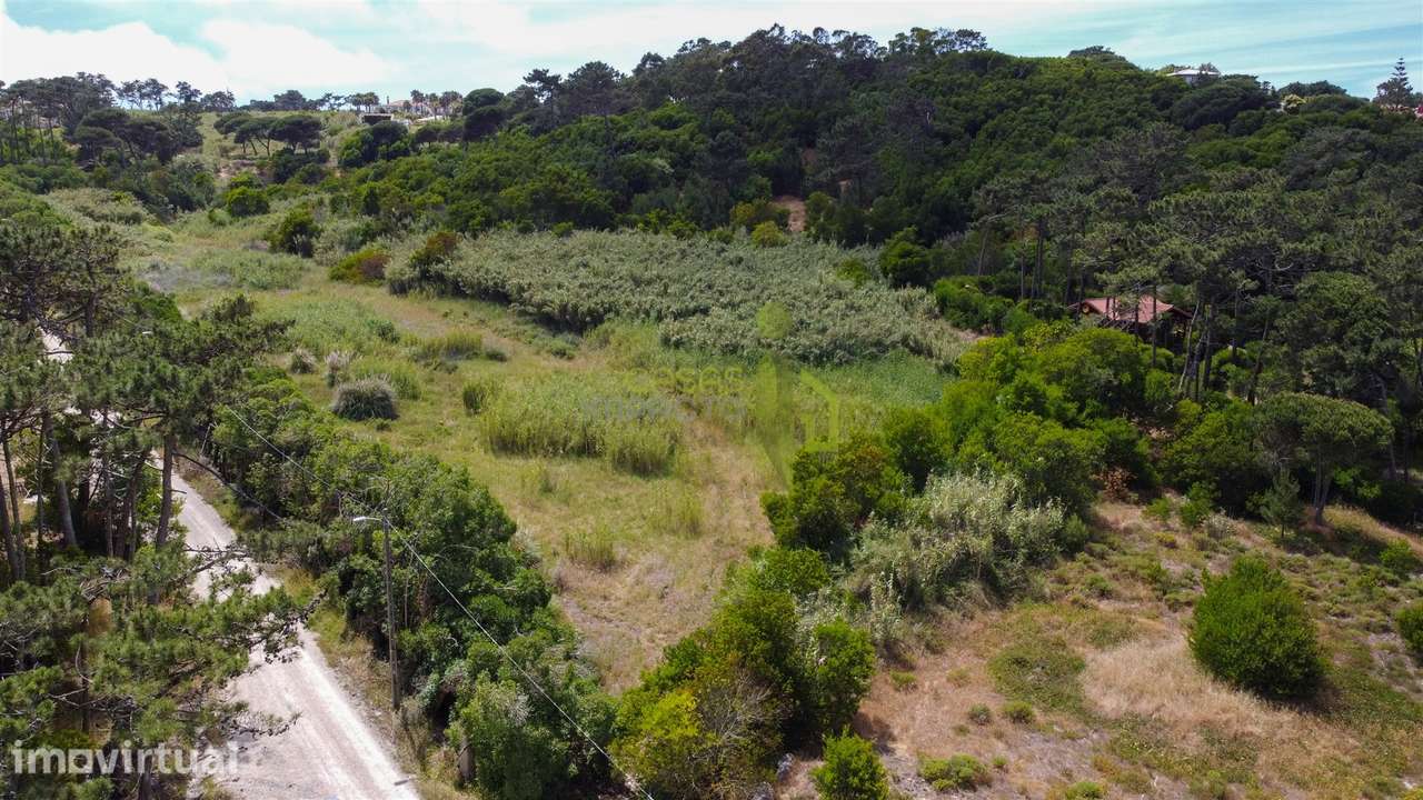 Terreno Rustico com 3.000m2 em Colares - Grande imagem: 4/19