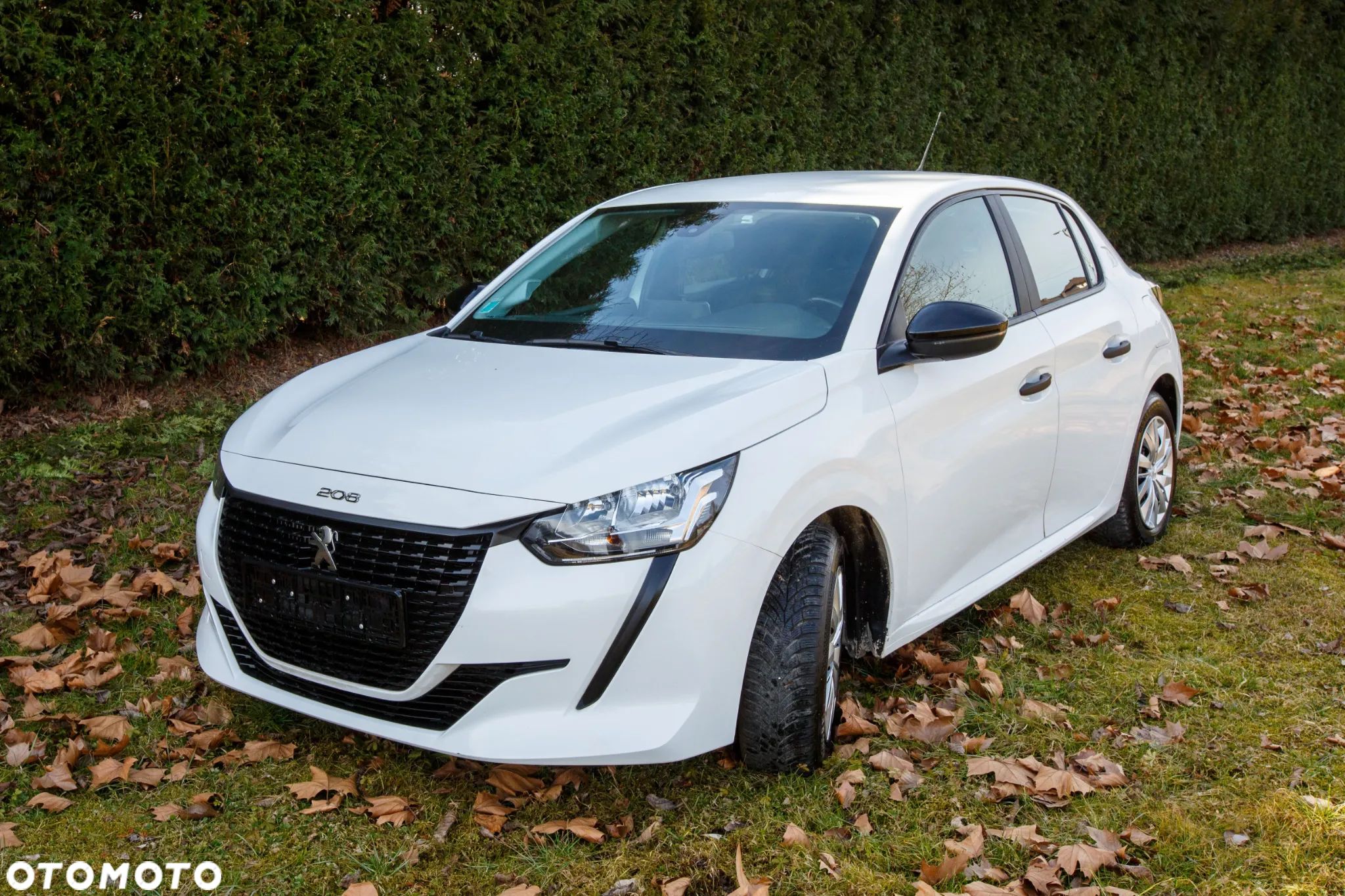 Peugeot 208 1.5 BlueHDi Active S&S - 1