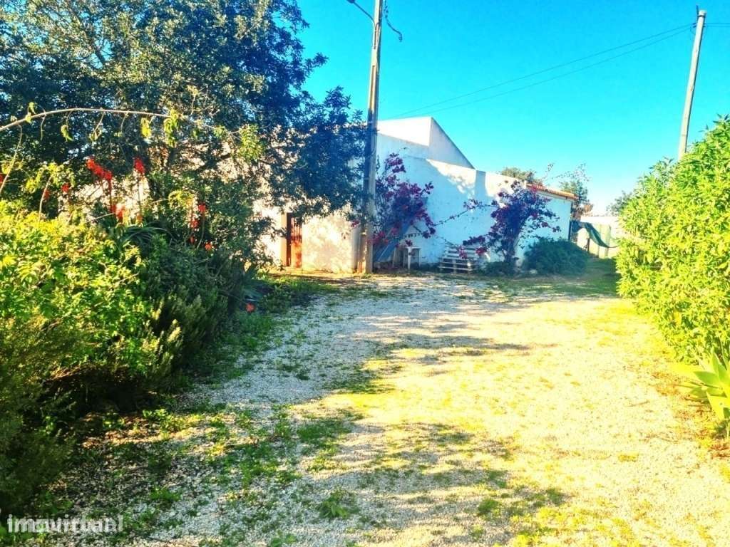 Moradia Rústica com Terreno 5 hectares - Canais Albufeira - Grande imagem: 3/15