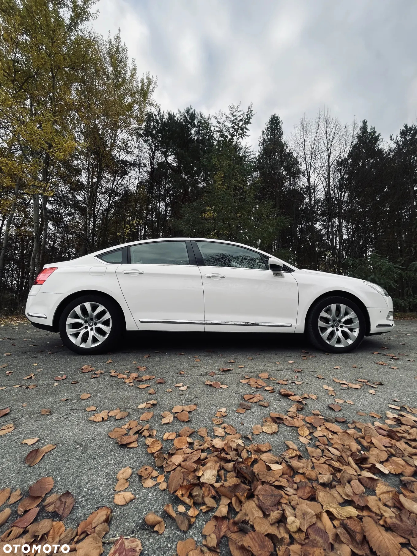 Citroën C5 3.0 HDi V6 Exclusive - 5