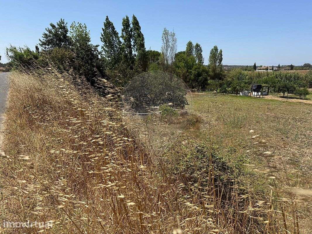 Terreno  para venda - Grande imagem: 4/10