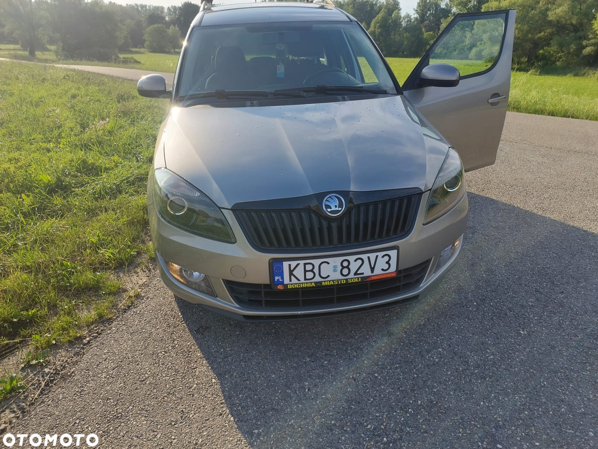 Skoda Roomster - 19