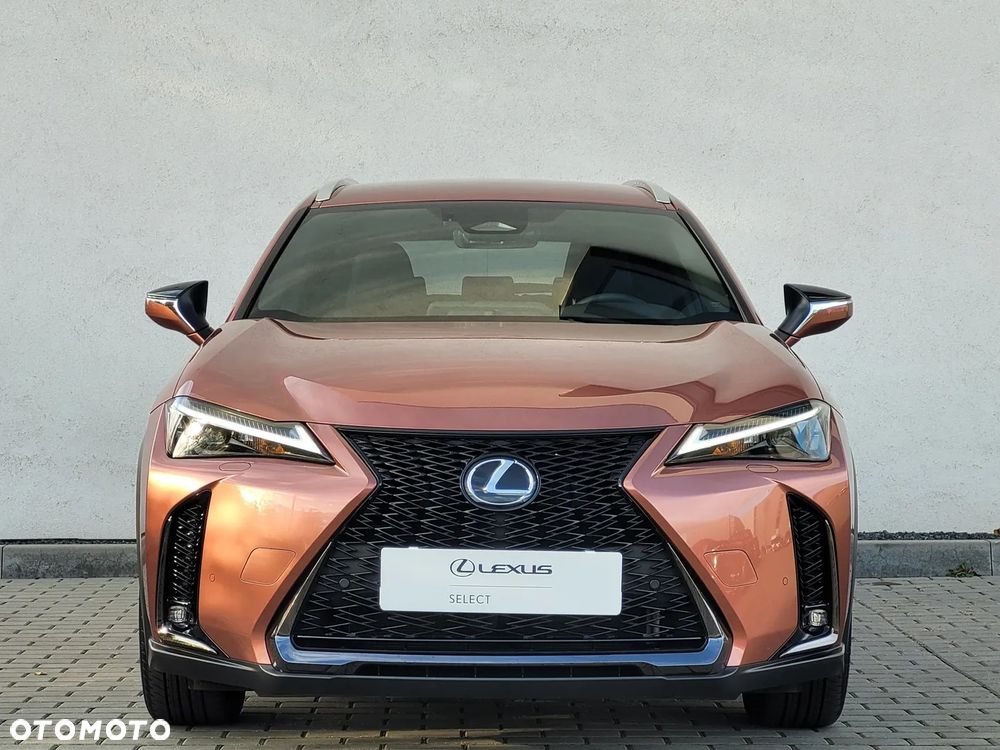Lexus UX 300h F Sport Design - 7