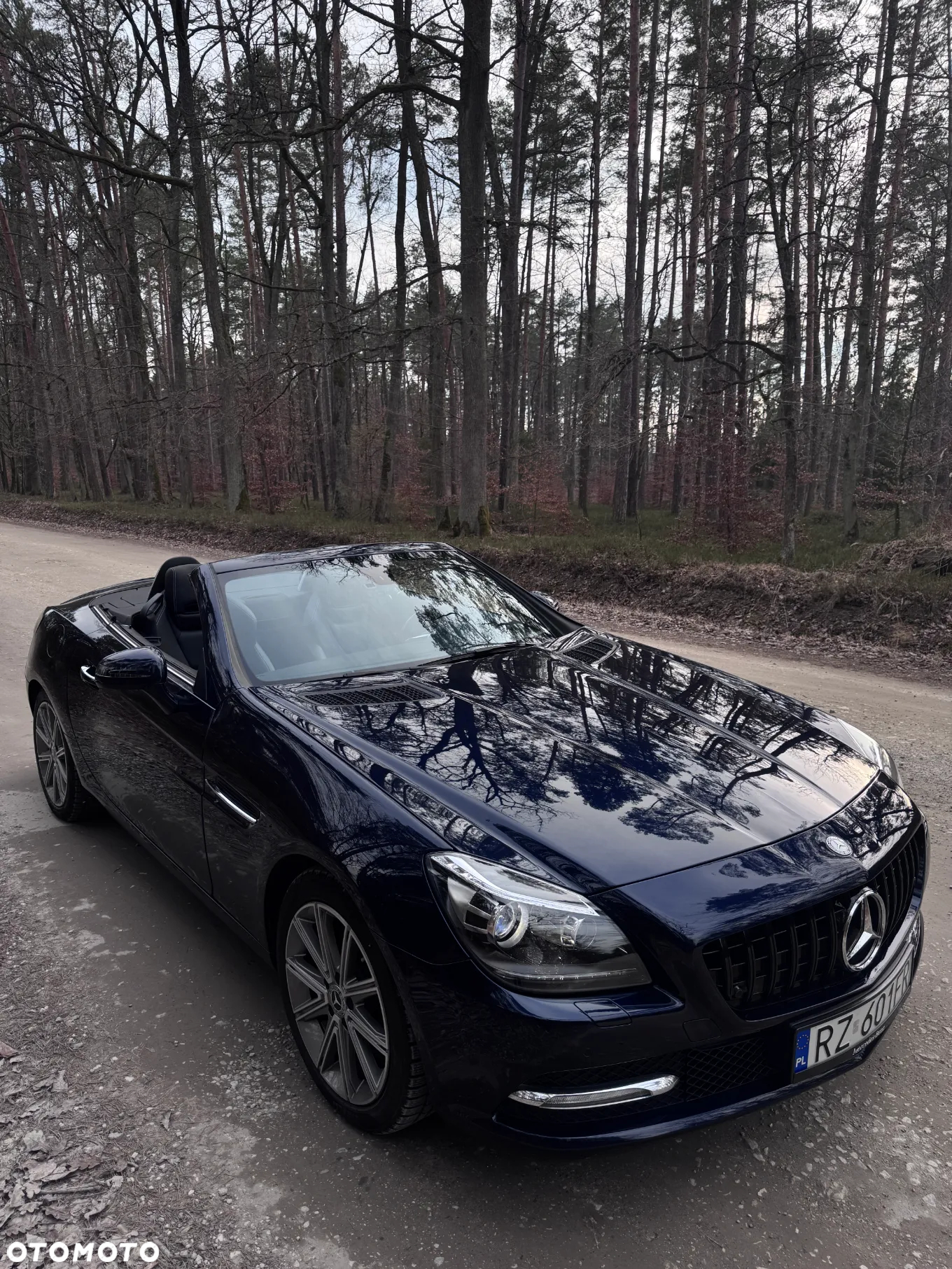 Mercedes-Benz SLK 350 (BlueEFFICIENCY) 7G-TRONIC - 2