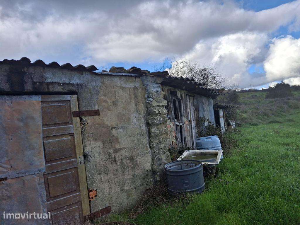 Quinta Localizada em Trancoso - Grande imagem: 4/12