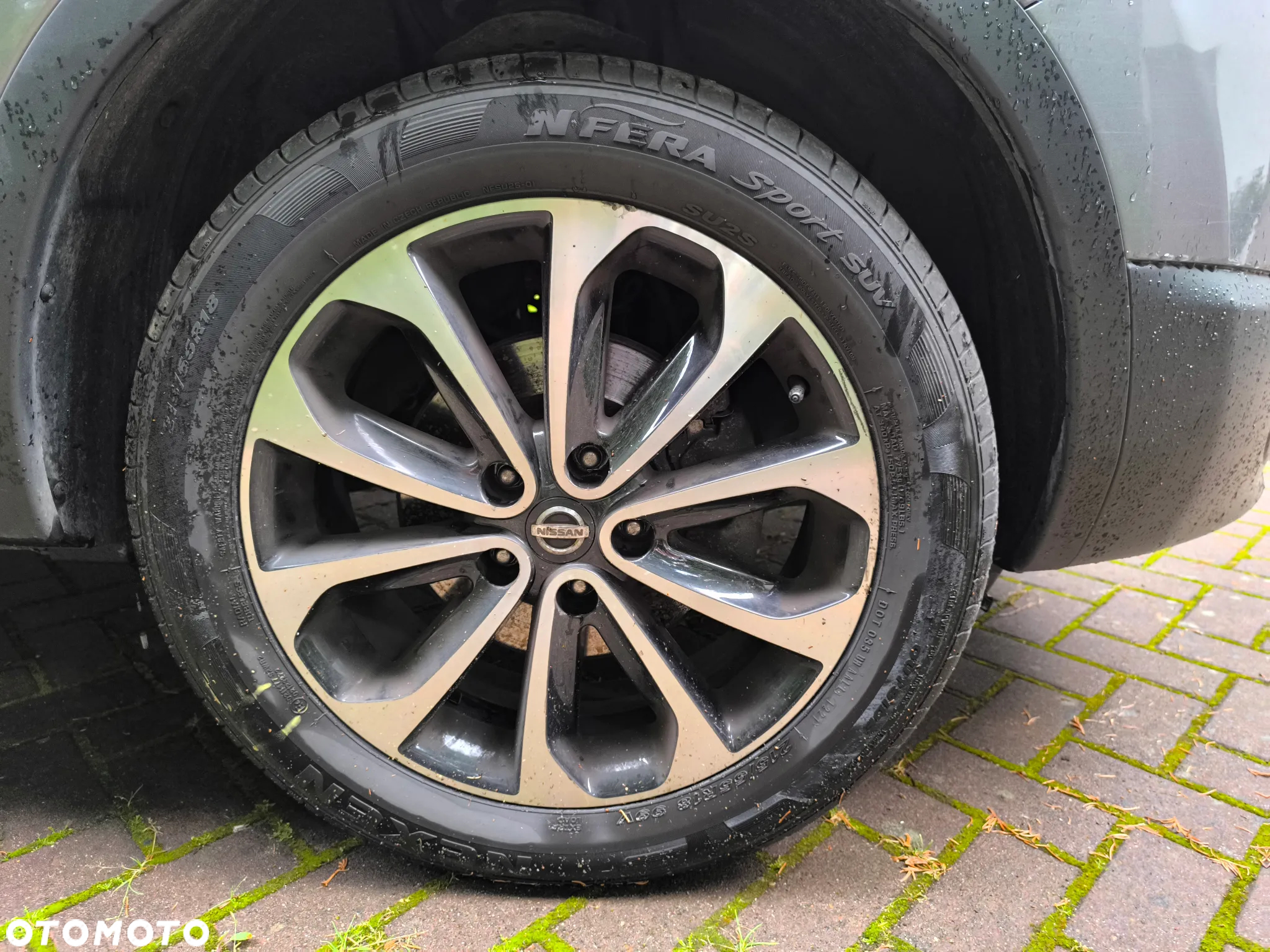Nissan Qashqai 1.5 dCi Acenta - 8