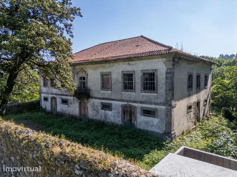 Quinta do Buraco: Propriedade Histórica com Casa Senhorial em Cucujães - Grande imagem: 4/12